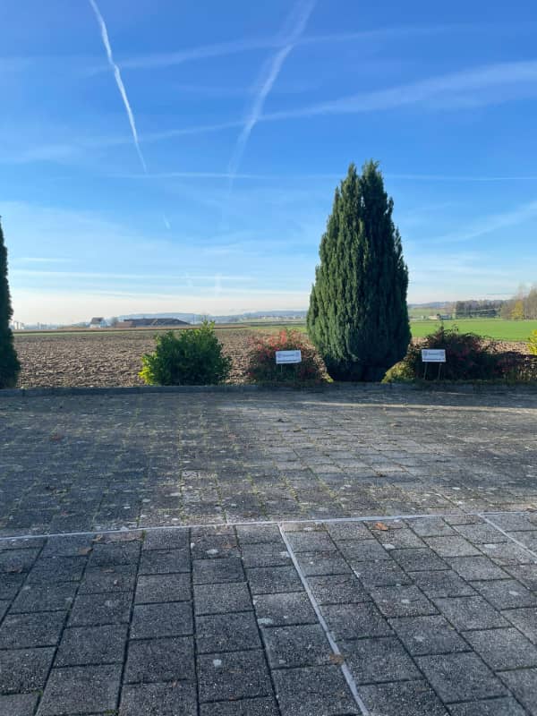 Scanderbeg Immobilien Zürich